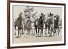 Photo Finish-Wink Gaines-Framed Giclee Print