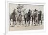 Photo Finish-Wink Gaines-Framed Giclee Print