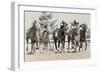 Photo Finish-Wink Gaines-Framed Giclee Print