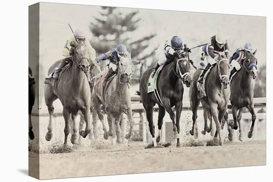 Photo Finish-Wink Gaines-Stretched Canvas