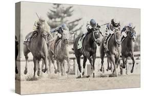 Photo Finish-Wink Gaines-Stretched Canvas