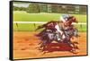 Photo Finish-null-Framed Stretched Canvas