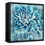 Photo Illustration of Abstract Flower Petals in Blue-Annmarie Young-Framed Stretched Canvas