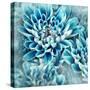 Photo Illustration of Abstract Flower Petals in Blue-Annmarie Young-Stretched Canvas