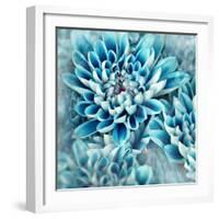 Photo Illustration of Abstract Flower Petals in Blue-Annmarie Young-Framed Photographic Print