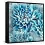 Photo Illustration of Abstract Flower Petals in Blue-Annmarie Young-Framed Stretched Canvas