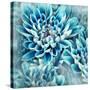 Photo Illustration of Abstract Flower Petals in Blue-Annmarie Young-Stretched Canvas