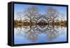 Photo Illustration of Oak Trees Reflecting Off Mountain Lake-James White-Framed Stretched Canvas