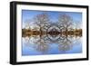 Photo Illustration of Oak Trees Reflecting Off Mountain Lake-James White-Framed Photographic Print