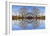 Photo Illustration of Oak Trees Reflecting Off Mountain Lake-James White-Framed Photographic Print