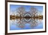 Photo Illustration of Oak Trees Reflecting Off Mountain Lake-James White-Framed Photographic Print
