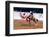 Photo impression of bronco rider at a rodeo, Santa Barbara, California-null-Framed Photographic Print