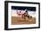 Photo impression of bronco rider at a rodeo, Santa Barbara, California-null-Framed Photographic Print