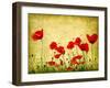 Photo Of A Poppies Pasted On A Grunge Background-Volokhatiuk-Framed Art Print