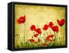 Photo Of A Poppies Pasted On A Grunge Background-Volokhatiuk-Framed Stretched Canvas