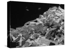 Photo of a Stack of Ticker Tape Covering as the Result of the Selling Climax at the Stock Exchange-Arthur Schatz-Stretched Canvas