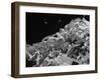 Photo of a Stack of Ticker Tape Covering as the Result of the Selling Climax at the Stock Exchange-Arthur Schatz-Framed Photographic Print