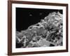 Photo of a Stack of Ticker Tape Covering as the Result of the Selling Climax at the Stock Exchange-Arthur Schatz-Framed Photographic Print