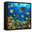 Photo of a Tropical Fish on a Coral Reef-Irochka-Framed Stretched Canvas