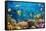 Photo of a Tropical Fish on a Coral Reef-Irochka-Framed Stretched Canvas