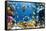 Photo of a Tropical Fish on a Coral Reef-Irochka-Framed Stretched Canvas