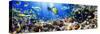 Photo of a Tropical Fish on a Coral Reef-Irochka-Stretched Canvas