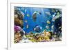 Photo of a Tropical Fish on a Coral Reef-Irochka-Framed Photographic Print