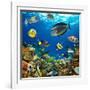 Photo of a Tropical Fish on a Coral Reef-Irochka-Framed Photographic Print