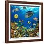 Photo of a Tropical Fish on a Coral Reef-Irochka-Framed Photographic Print