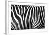 Photo Of A Zebra Texture Black And White-Pavelmidi-Framed Photographic Print