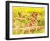 Photo of an African Lion Cubs , South Africa Safari, Kruger National Park Reserve, Wildlife Safari,-Anna Omelchenko-Framed Photographic Print