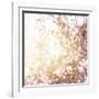 Photo of Beautiful Cherry Blossom-Anna Omelchenko-Framed Art Print