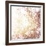 Photo of Beautiful Cherry Blossom-Anna Omelchenko-Framed Art Print