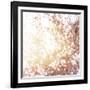 Photo of Beautiful Cherry Blossom-Anna Omelchenko-Framed Art Print