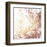 Photo of Beautiful Cherry Blossom-Anna Omelchenko-Framed Art Print