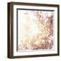 Photo of Beautiful Cherry Blossom-Anna Omelchenko-Framed Art Print