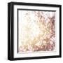 Photo of Beautiful Cherry Blossom-Anna Omelchenko-Framed Art Print