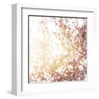 Photo of Beautiful Cherry Blossom-Anna Omelchenko-Framed Art Print