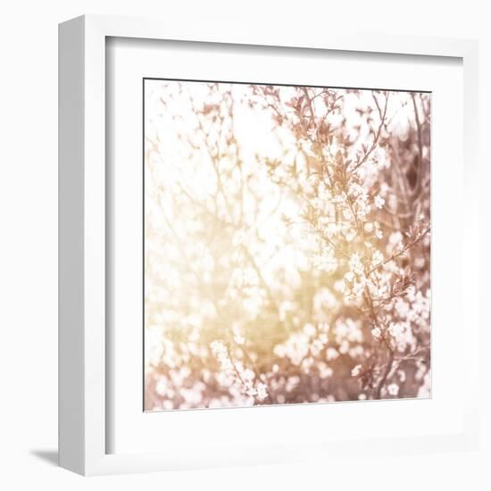 Photo of Beautiful Cherry Blossom-Anna Omelchenko-Framed Art Print