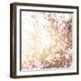 Photo of Beautiful Cherry Blossom-Anna Omelchenko-Framed Art Print