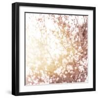 Photo of Beautiful Cherry Blossom-Anna Omelchenko-Framed Art Print