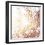 Photo of Beautiful Cherry Blossom-Anna Omelchenko-Framed Art Print