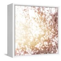 Photo of Beautiful Cherry Blossom-Anna Omelchenko-Framed Stretched Canvas