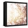 Photo of Beautiful Cherry Blossom-Anna Omelchenko-Framed Stretched Canvas