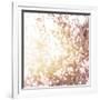 Photo of Beautiful Cherry Blossom-Anna Omelchenko-Framed Art Print