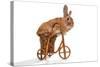 Photo Of Cute Brown Rabbit Riding Bike Isolated On White-PH.OK-Stretched Canvas