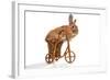 Photo Of Cute Brown Rabbit Riding Bike Isolated On White-PH.OK-Framed Photographic Print