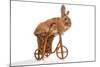 Photo Of Cute Brown Rabbit Riding Bike Isolated On White-PH.OK-Mounted Photographic Print