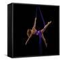 Photo of female dancer-Panoramic Images-Framed Stretched Canvas