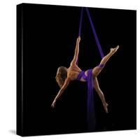 Photo of female dancer-Panoramic Images-Stretched Canvas